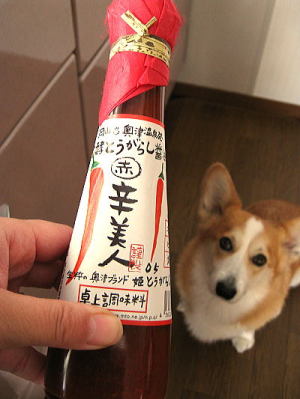 岡山　♨　奥津温泉発『発酵とうがらし醤油　赤　辛美人』