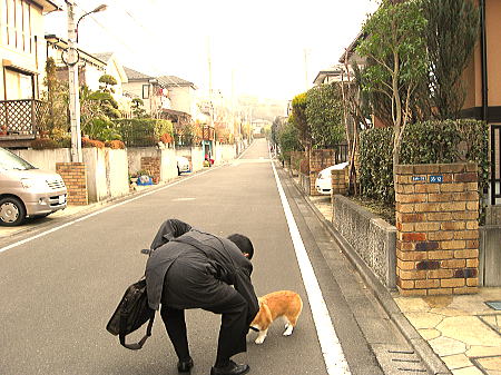 「パパ殿～いってらっしゃいなの～」