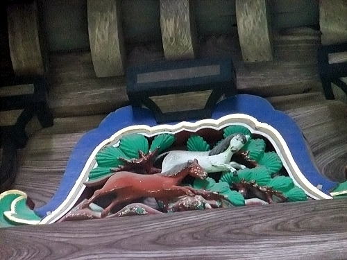 2匹の馬が走っているようです