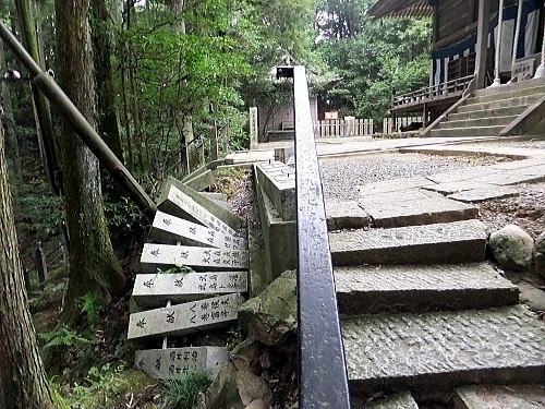 脇から見た感じ