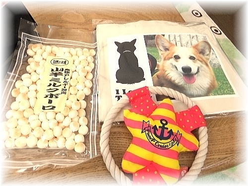 アンナちゃん＆krka母さんからのプレゼント