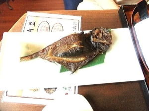 虎杖浜産の焼き魚