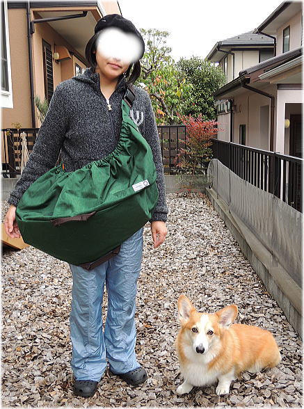 全てのサイズに飛び出し防止のリード付、メッシュ生地は消臭・抗菌効果・内部は汚れや水濡れもサッと洗えます