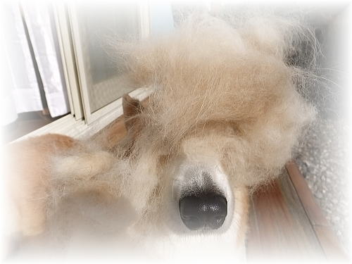 みだれ髪～♪惚れるななよっ！