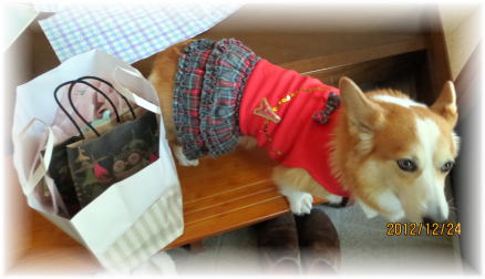 いざっ、出陣！サンタトリ蔵として営業してきました。