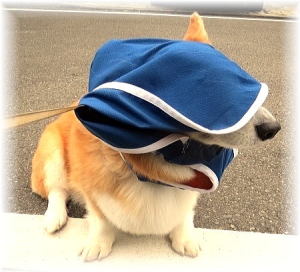 パパ殿助けて～ヘルプミー♪