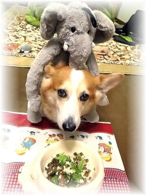 今年も皆様様ありがとうごじゃりましたなの♪