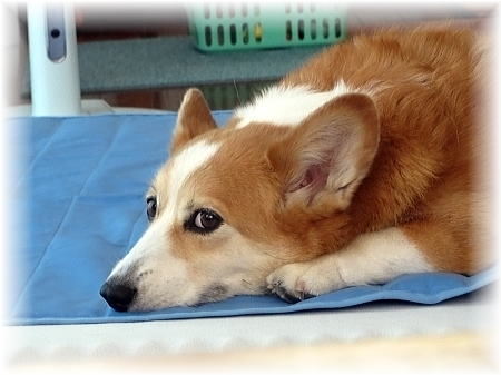 2014年8月20日　この日は広島で土砂崩れがあった日