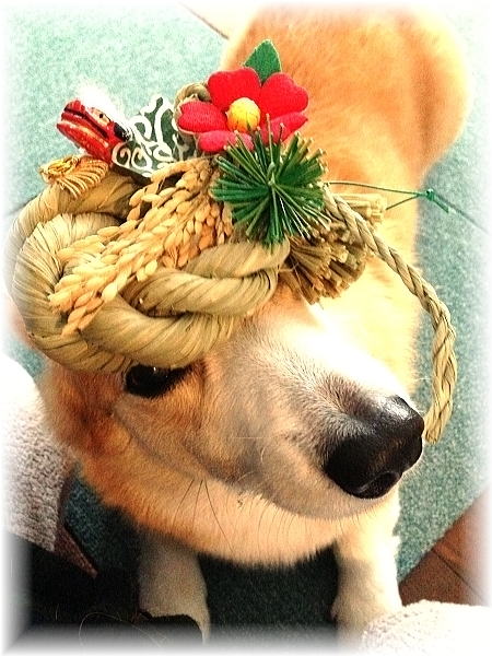 お正月飾り　盛ってみたけど　見えにくい