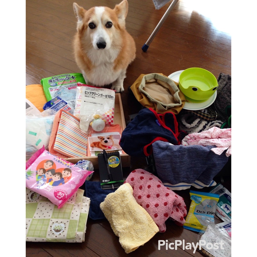 トリニティの防災グッズ　Trinity　for emergency goods